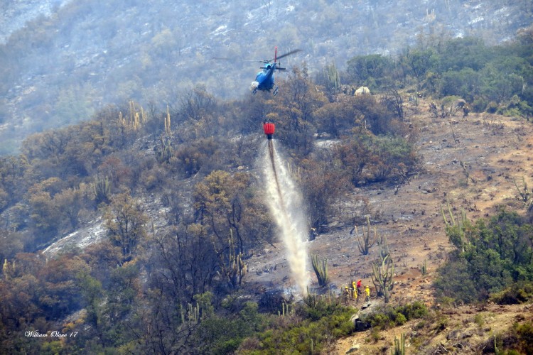 Llamas en Chile: experiencia de dos pilotos sobre los incendios forestales